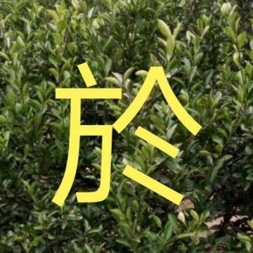 新手學(xué)看鋼結(jié)構(gòu)圖紙的最快方法（鋼結(jié)構(gòu)圖紙顯示） 結(jié)構(gòu)機械鋼結(jié)構(gòu)設(shè)計 第1張